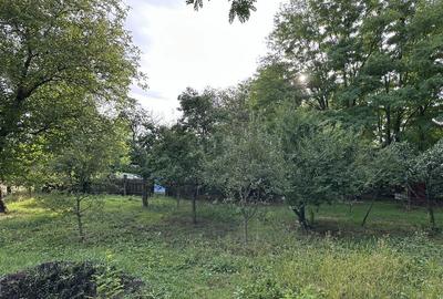 Casă cu 3 camere în Mânăstireni - 3