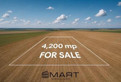 Teren extravilan 4200mp Daia Romana - Alba - 1