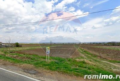 Teren de 7000 mp, în Oancea - 5