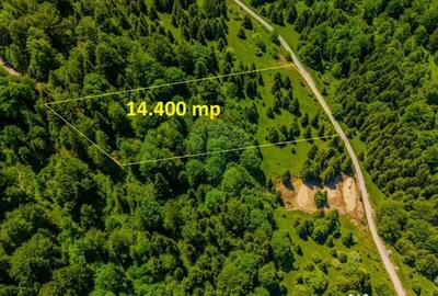 Teren de 14400 mp, în Cheile Râșnoavei - 1