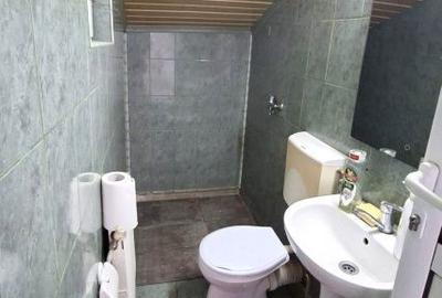 Spațiu comercial, de 130 mp, în Craiovei - 5