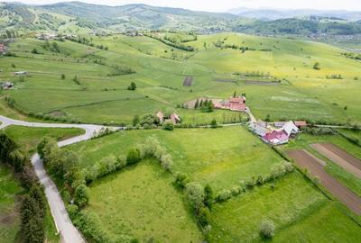 Teren Construcții intravilan de 7948 mp, în Barcani - 3