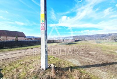 Teren Construcții intravilan de 3725 mp, în Bumbești-Pițic - 2
