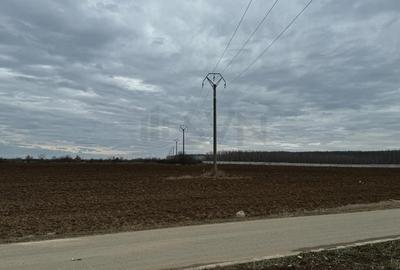 Teren Construcții intravilan de 13746 mp, în Corbeanca