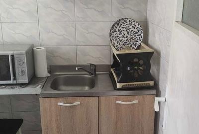 Garsonieră în Timișu de Jos - 3