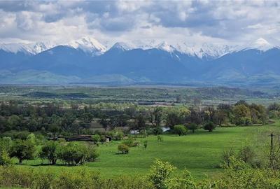 Ocazie!Oaza de liniste in satul Colun,cu 572mp ,la 40km de Sibiu Ocazie!Oaza de liniste in satul Colun,cu 572mp ,la 40km de Sibiu - 31