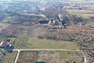 Teren Construcții intravilan de 4230 mp, în Paleu - 2