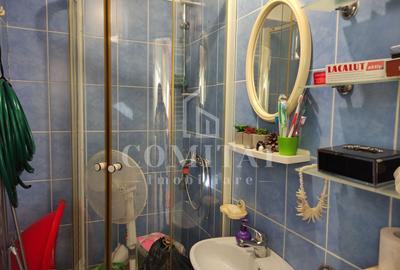 Apartament cu 2 camere decomandat, mobilat în Gruia - 10