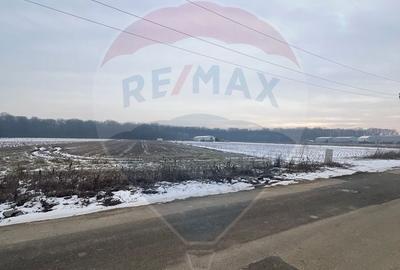 Spațiu comercial, în Ciolpani - 4