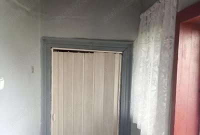 Teren de 42 mp, în Ciuperceni - 3
