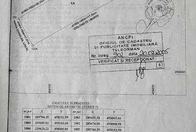 Teren de 10000 mp, în Vest - 2