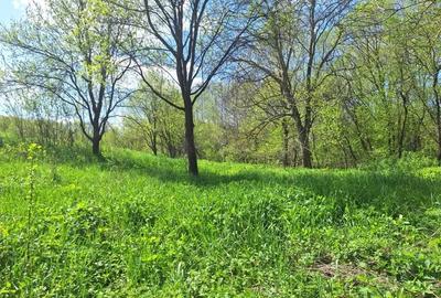 Casă cu Teren 5000 Mp în Cornițel - 5