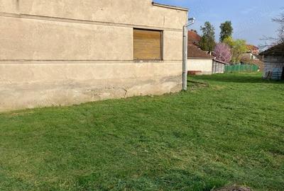 Casă cu 4 camere cu Teren 2054 Mp în Geoagiu - 2