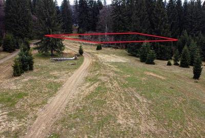Teren cu potential:1.000 mp,proiect turistic/rezidential,Poiana Brasov - 13