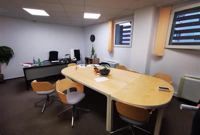 Spatii birouri in Iridex Business Center - de la 47 mp - 2