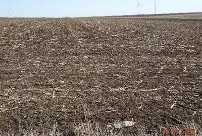 Teren extravilna Cota parte 1/16, CObadin, ID: R2782865 - 9