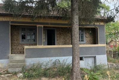 Casa de anzare con Ion corvin - 2