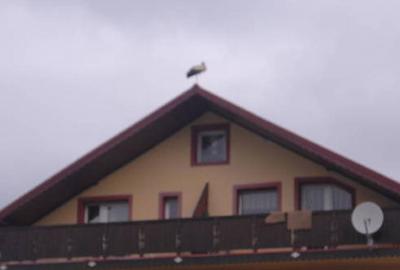 Casă individuală cu 5 camere cu Teren 1000 Mp în Malul Ursului - 8