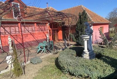 Casă cu 3 camere cu Teren 1100 Mp în Sarmizegetusa - 1