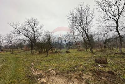 Teren extravilan de 1225 mp, în Săsar