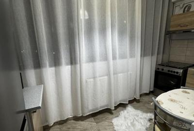 PRIMA INCHIRERE TINERETULUI - PIATA NORILOR | PARC TINERETLUI | BOILER - 3