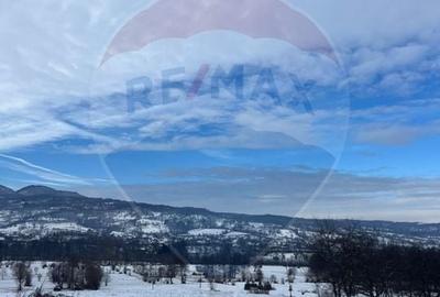 Teren de vanzare in Manastirea - 1