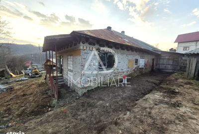 Casă cu 4 camere cu Teren 1748 Mp în Cernișoara - 10