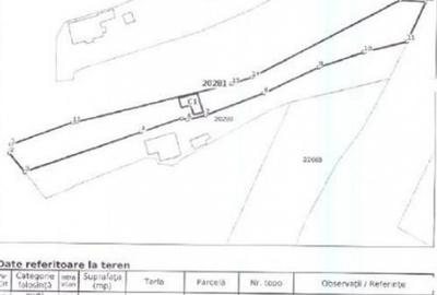Casă cu 1 camere cu Teren 1467 Mp în Coconari - 4