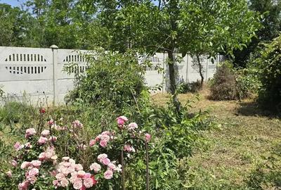 Teren si casa batraneasca - 5