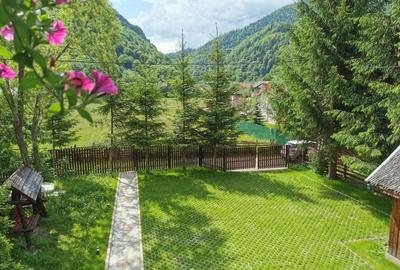 Pensiune 7 camere, Lepsa - 45