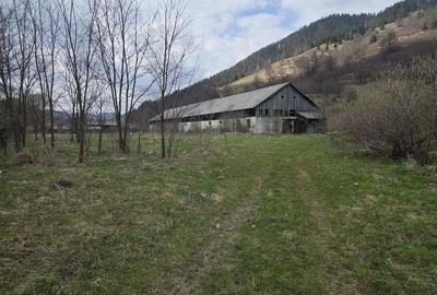 Teren de 28000 mp, în Tulgheș - 6