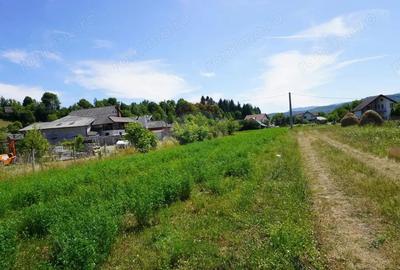 Teren 1,687mp Sighetu Marmatiei / Strada Doboies - 6