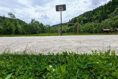 Casă cu Teren 3900 Mp în Rucăr - 3