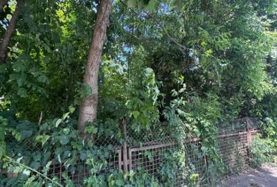 Teren de 4200 mp, în Rădăuți