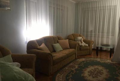 Casa Elisabetin amenajata 400mp 15 camere - 15