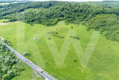 Teren de vanzare - 8.300 mp la intrare in Bradu, judetul Sibiu - 9