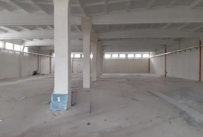 Hala cu birouri si teren, Jilava, centura Bucuresti - 2