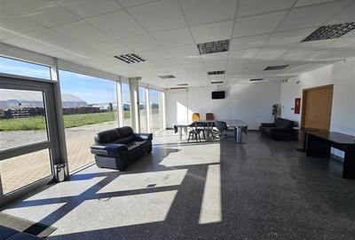 Showroom, service, magazin desfacere, birouri - Aeroport Oradea - 4