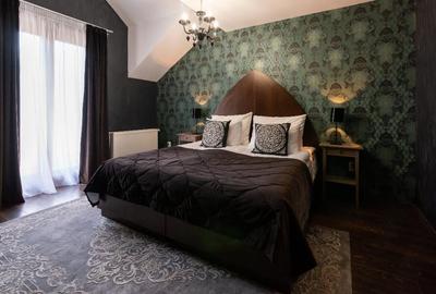 De vanzare Boutique Hotel Rocker's Inn, locatie functionala, zona Cheile Nerei - 4