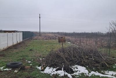 Milcov Deal teren de vanzare - 10