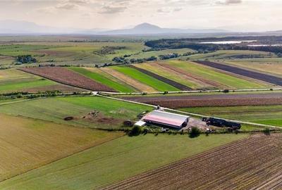 FILM! 18.000 mp,extravilan,agricol+constructii, recomandat:ferma,investitii agri - 5