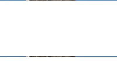 Casă cu 4 camere cu Teren 800 Mp în Central