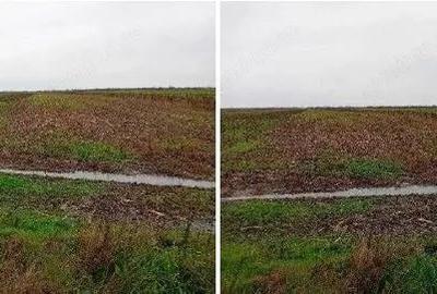 Teren extravilan Mogosani, ID: R2868327 - 2