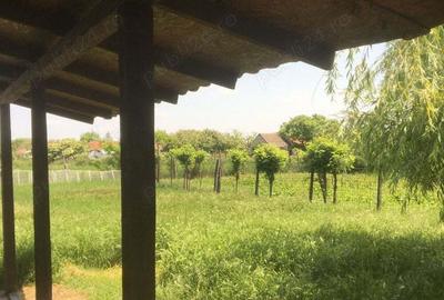 Proprietar ofera casa de vanzare ?i spa?iu comercial - 1