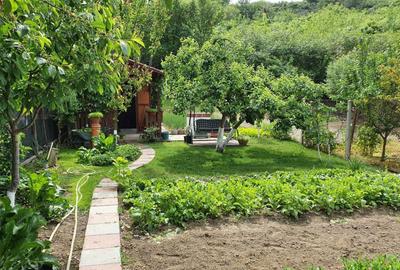 Apartament cu 2 camere decomandat în Curtișoara - 1