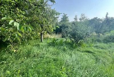 Casă cu 3 camere cu Teren 800 Mp în Siret - 3