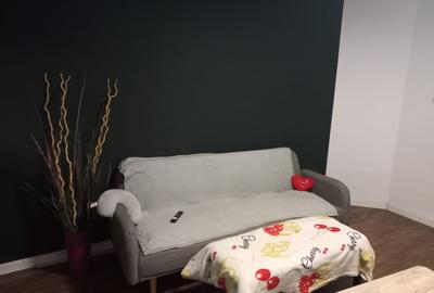 Vanzare | Casa | Zona Unirii | Ultracentral | Investitie | Venit Generat Lunar | - 3