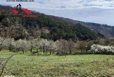 Teren de 1500 mp, în Vințu de Jos - 2