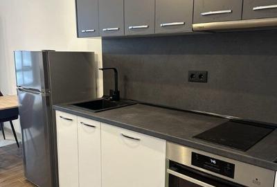 Calea Bucuresti-Garsoniera de inchiriat - 3