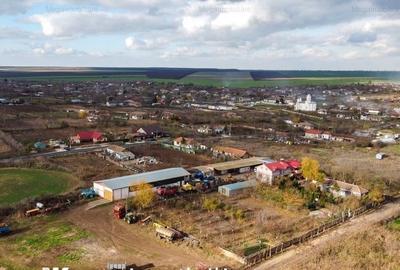 Vanzare ferma agricola Negru Voda - Constanta cu 240 hectare teren si utilaje - 2